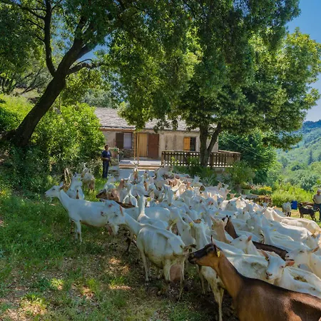 بيت للعطل De France 4/6 Personnes A Campemenard Sainte-Croix-Vallee-Francaise