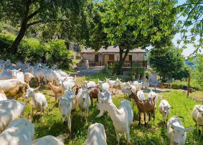 De France 4/6 Personnes A Campemenard * Sainte-Croix-Vallée-Française